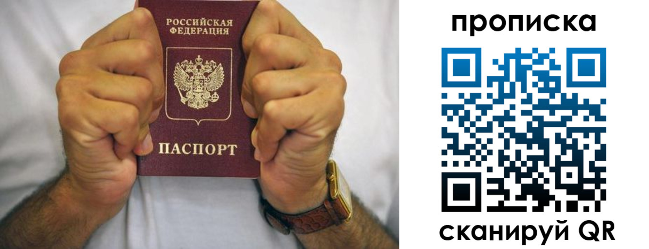 прописка в Лодейном Поле